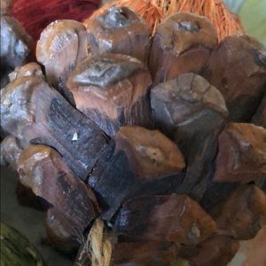 Meet your Posher, Ali